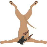 Go Fetch Pet Transport logo