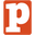 Pro Am Sports logo