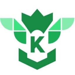 Keystone Pressure Washing logo