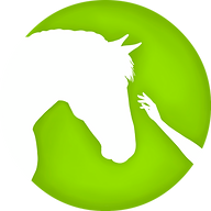 Pferdetherapie Verena Rohr logo