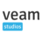 Veam Studios Ltd logo