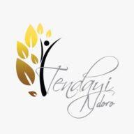 TendayiNdoro logo