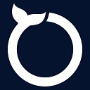 Software Orca logo