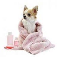 Yuppy Puppy logo