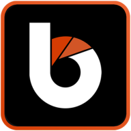 Blackwood IT Limited logo