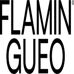 Flamingueostore logo