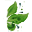 The Natural Health Market logo