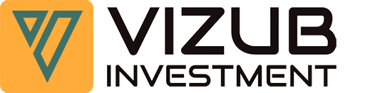 Vizubinvestment logo