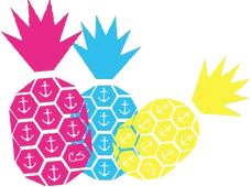 carlaswimwear.com.au logo