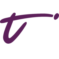 Twin Systems PLC logo