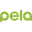 pelavision.com logo
