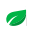 Tedpack Company Limited logo