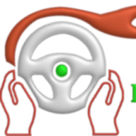 Nesa Driving School logo
