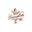 Tiramisu Cake UK logo