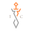 Transcendent Cards logo