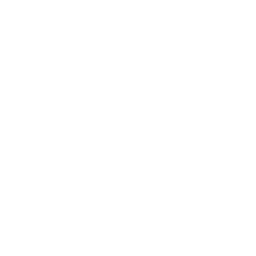 Effortless Scale logo