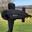 Submarinegolf logo