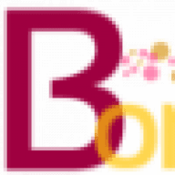bonadvisor.com logo