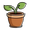Boondie Seeds logo