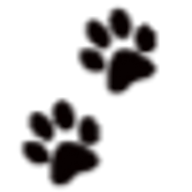 Happy Feet Dog Boarding logo