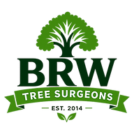 Brwtreespecialists logo