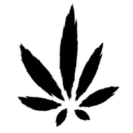 True High Collabs logo