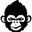 Crazy Ape Extreme Equipment logo