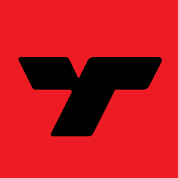 Treamer logo