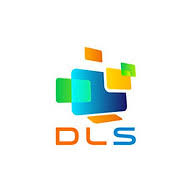 D L Solutions logo