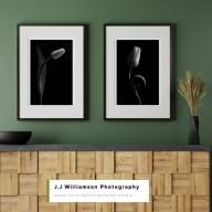 Norfolk Prints & Frames logo