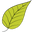allsopgarden.com logo