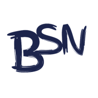 BSN Writing Services logo