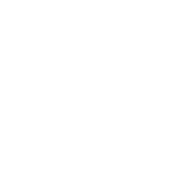 Prince William Hotel logo