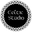 CelticStudio logo