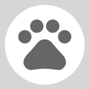Curious Cat App logo