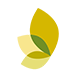 Newboilergrant logo