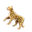 Never Fully Dressed logo