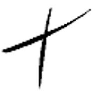 Tessellata Woodturning logo