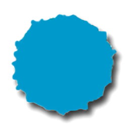 Top Coat Painting logo