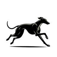 The Yorkshire Chauffeur logo
