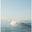 STUDIO SEAPORT logo
