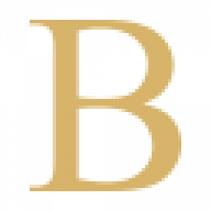 Bag Spa logo