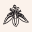 kiaranaturals.com logo