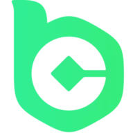 BC.Game Mirror logo