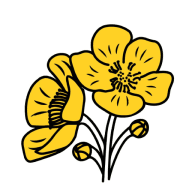 Buttercup Cleaning Co. logo