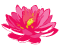 Lotus Thai logo