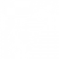 Nitrospark AI logo