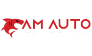 AM Auto Aesthetics logo