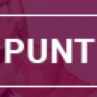 punterlinks.com logo