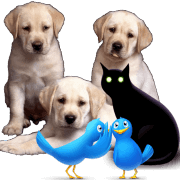 PetzLover logo